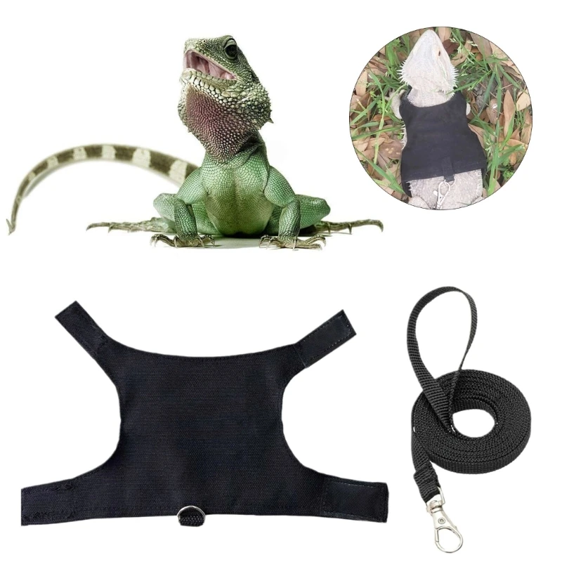 Adjust Traction Rope Extendable Lizards Reptiles Harness with Letter Print Decors