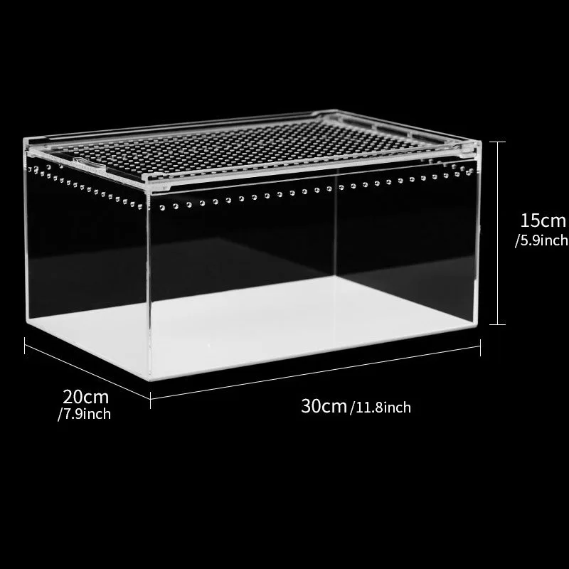Acrylic Climbing Pet Feeding Box 5