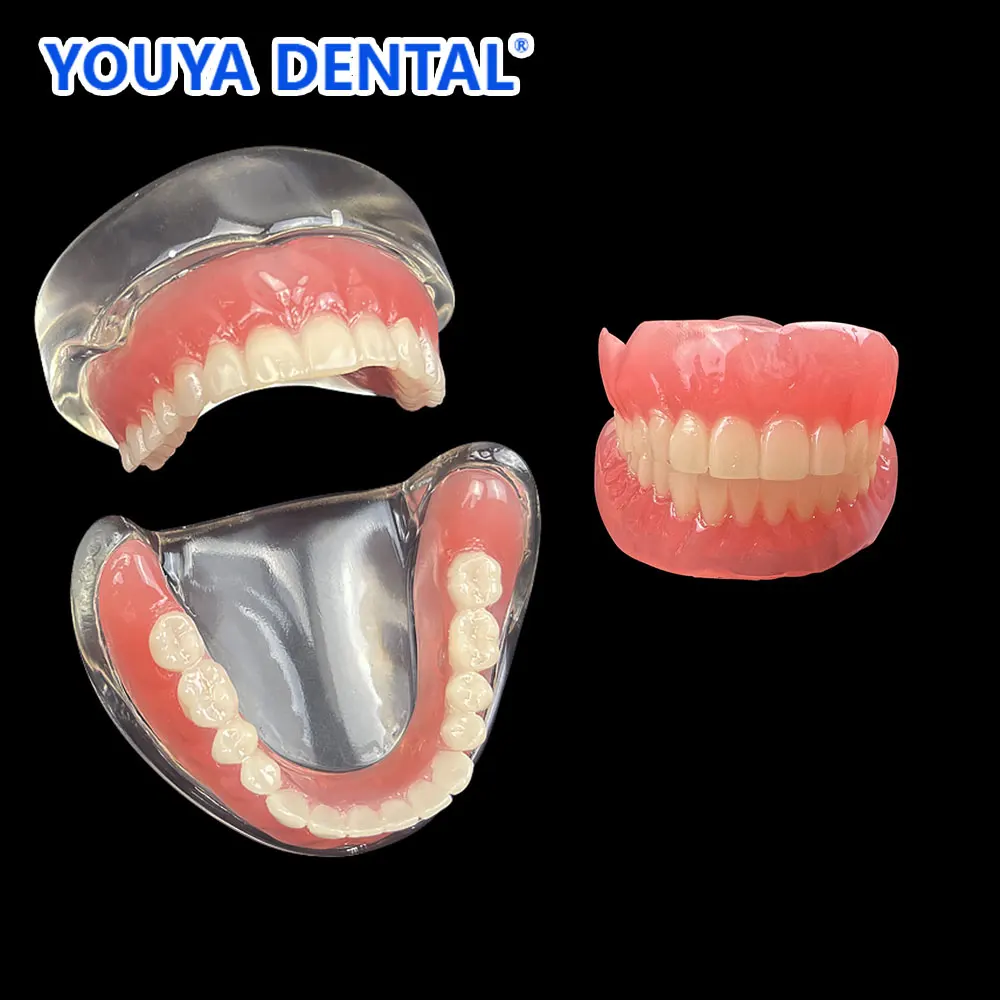 

With 4 Implants Dental Implant Model Removable Interior Mandibular Overdenture Upper/Lower Jaw Demo Dentist Study Teeth Model