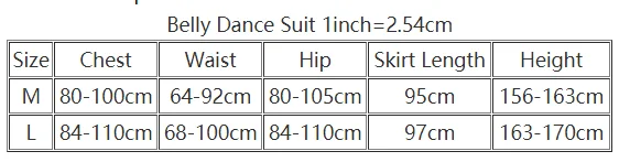 Belly Dance Costume for Women Bellydace Cheap Clothes Long Sleeves Top and Trousers 2pcs Girl\'s Oriental Bellydancing Tops