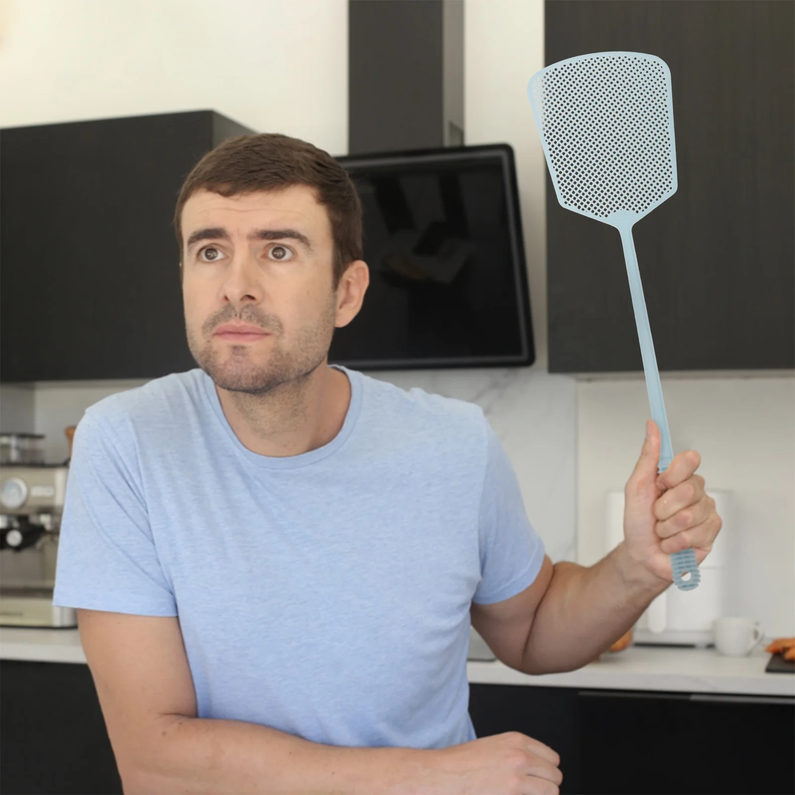 

6Pcs Manual Plastic Fly Swatter Long Handle Strong Durable Home Kitchen Insect Lightweight Easy Clean Safe for Pets