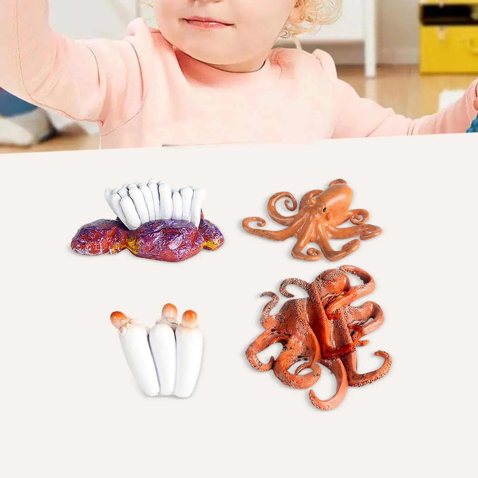 

Octopus Growth Cycle Set Classroom Simulation Early Learning Educational for Toddlers Birthday Gifts Ages 3 4 5 6 Years Children