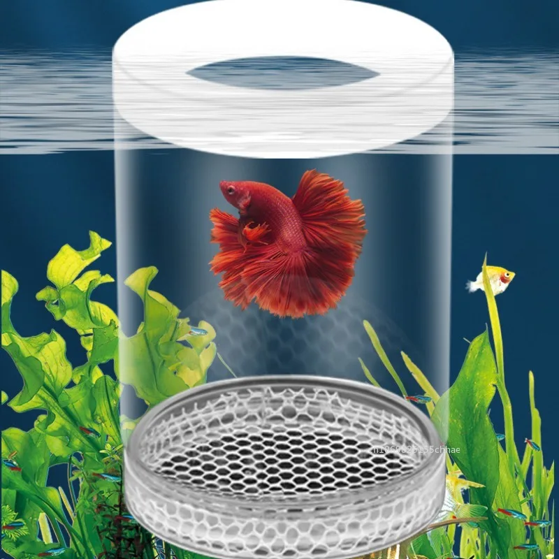 Guppy صندوق تربية حوض السمك حاضنة الأسماك الصغيرة غرفة الولادة تعليق عزل صندوق حوض السمك اكسسوارات الخزانАКУНДДФДФГБ