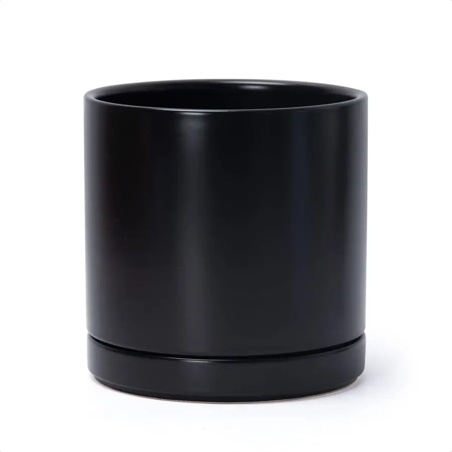 Dev 8.2 Inch Cerami…