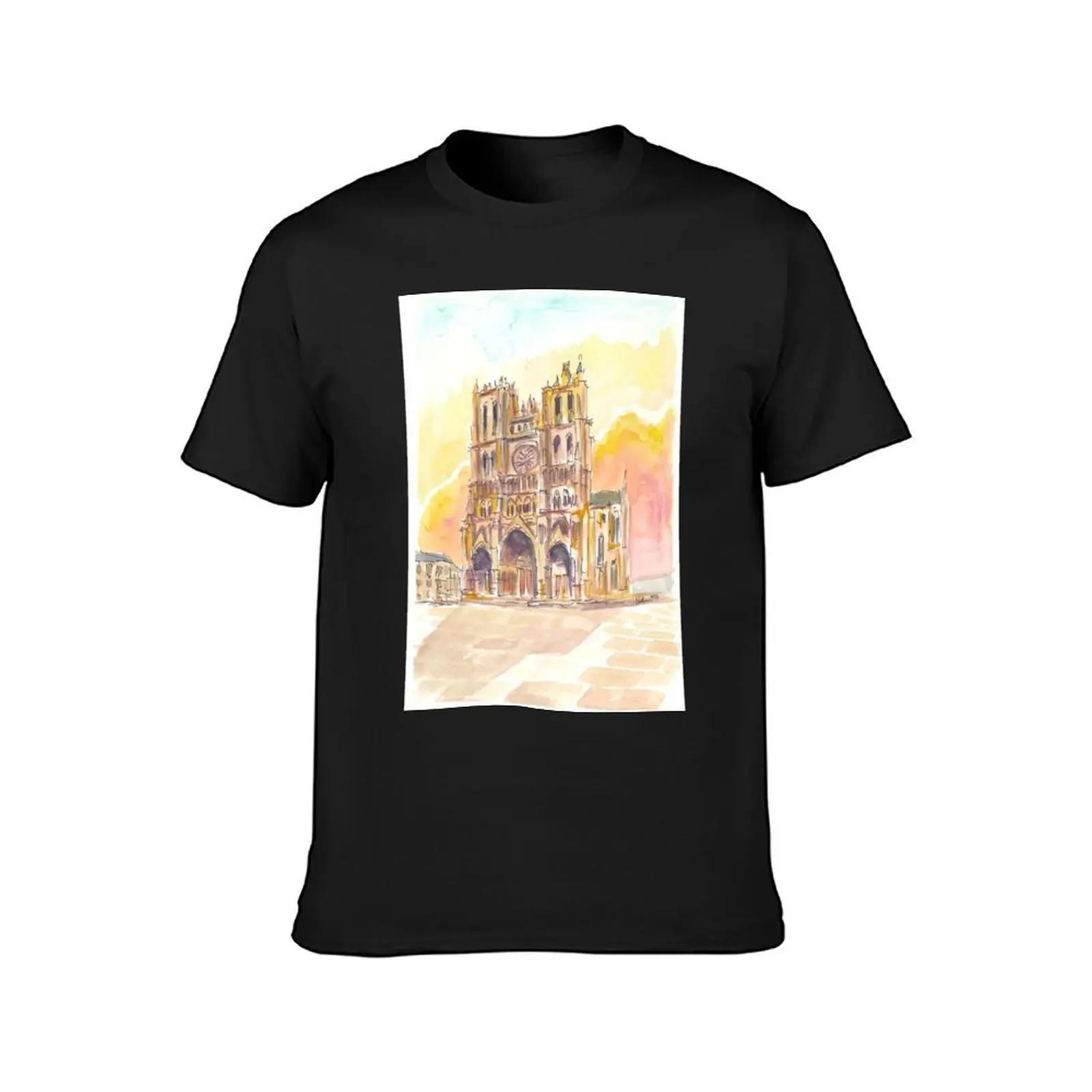 Impressive Cathedral Basilica of Our Lady of Amiens T-Shirt graphics kawaii clothes vintage clothes Men's t-shirts