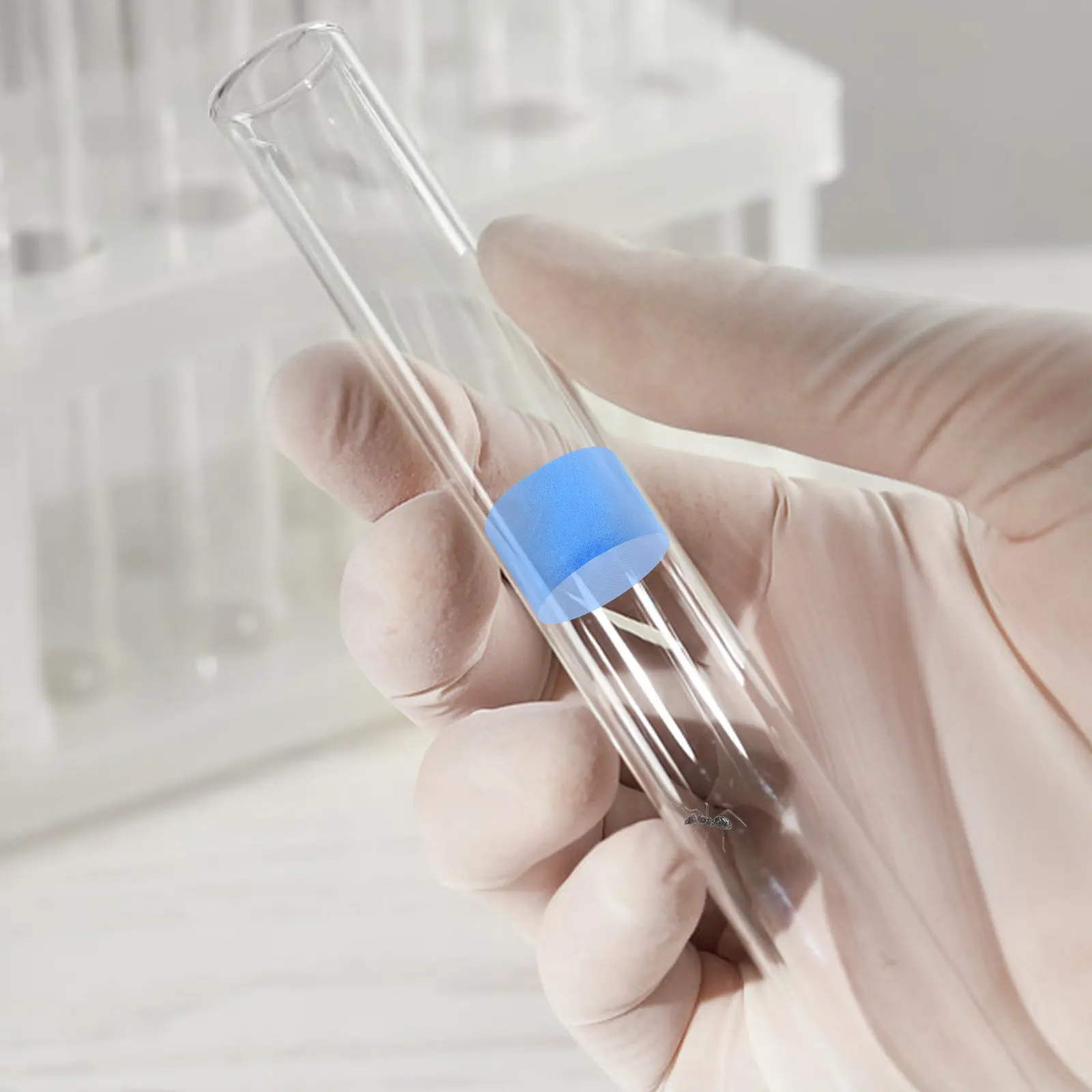 5Pcs Ant Nest Water…