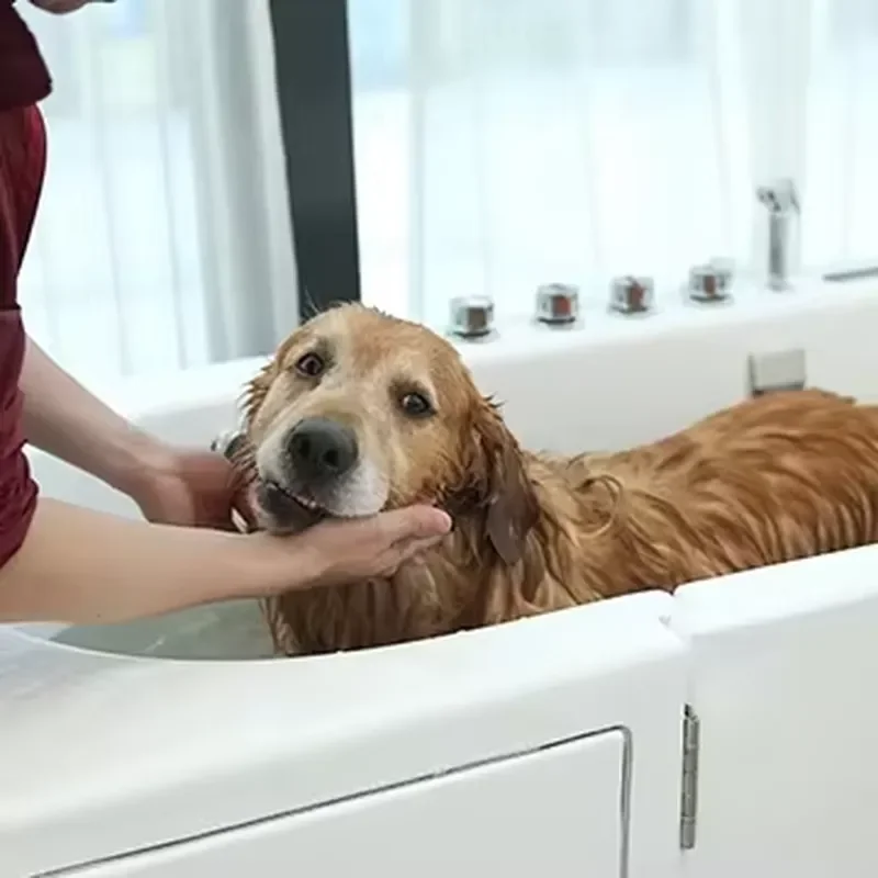 Automatic Dog Grooming Machine for Dogs Wash System 220V 110V Large Hot Dog Washing Machine for Pet Grooming 2025