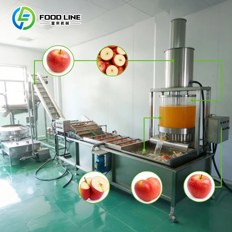 Automatic Fruit Juice Production Line Apple Juice Processing Plant Complete Bottling Filling Packaging Machine Manufacturer