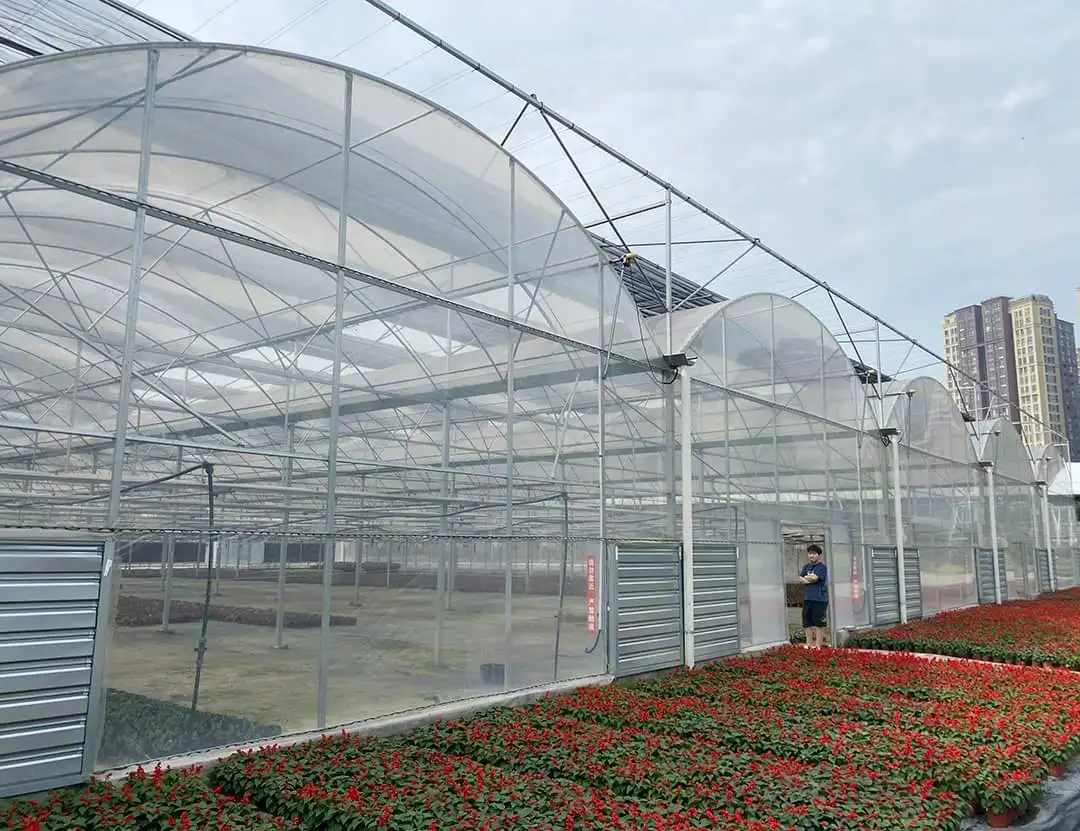 

Customized greenhouseHot-Dip Galvanized Structure Multi-span Plastic Film Greenhouse for Planting Vegetables/Fruits/Flowers