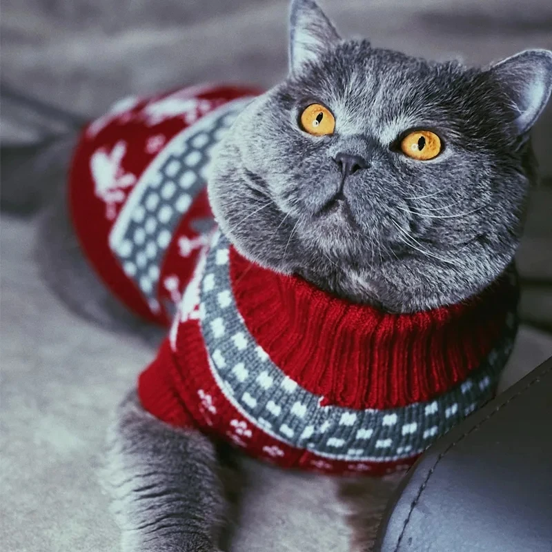 Pet Clothes Dog Sweater Cat Costume For Small Dogs Christmas Deer Clothing Cat Sweater Dogs Coat Halloween Warm Pet Knitte Coat