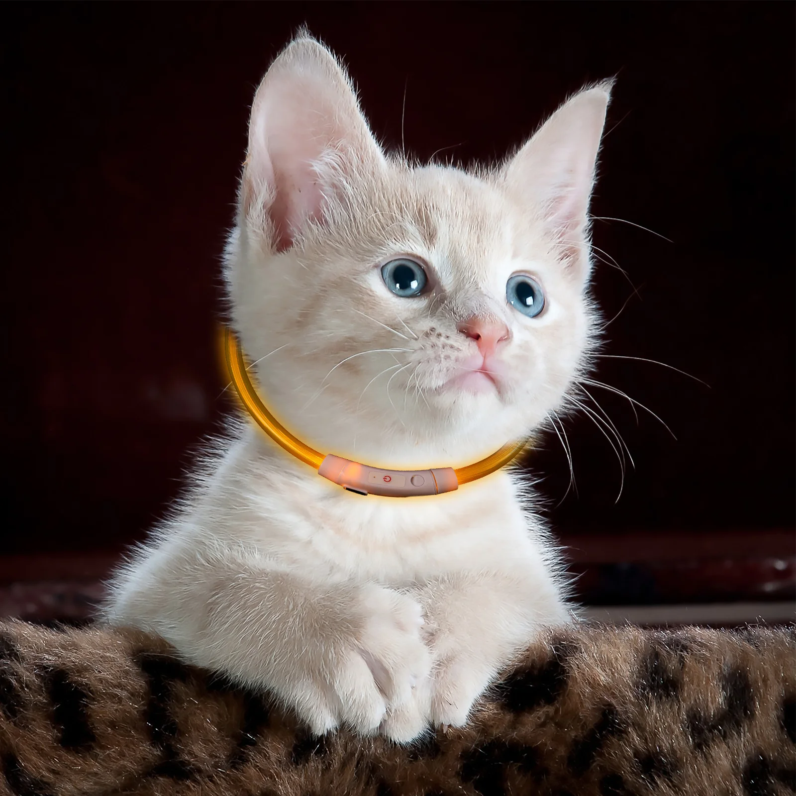 Bright LED Glowing Dog Collar USB Chargeable Waterproof Night Safety Pet Collar for Walking Camping Flexible Design Long