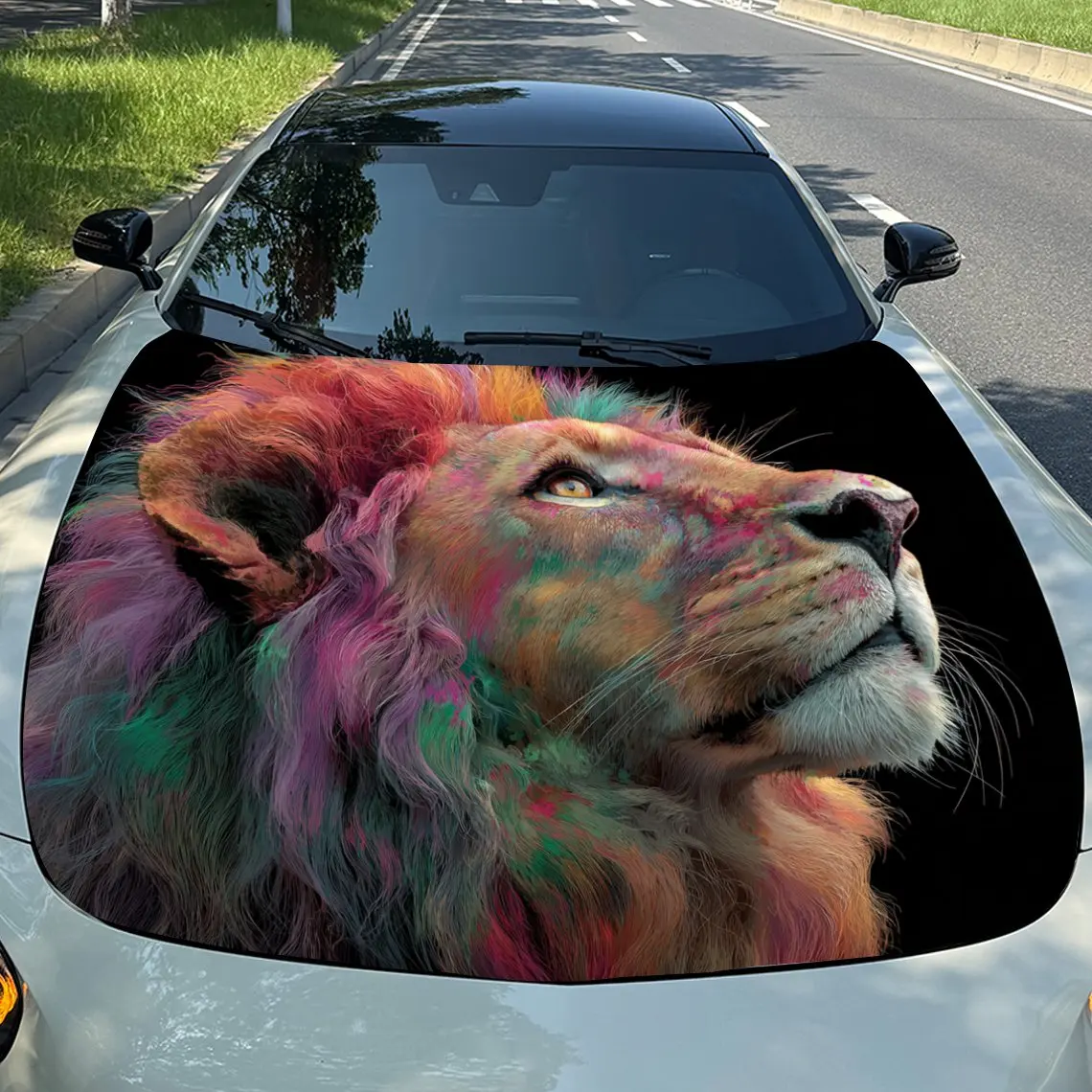 

Car Decals Realistic Lion with Vibrant, Multicolored Mane Against a Dark Backdrop Car Hood Sticker, Waterproof Self - Adhesive V