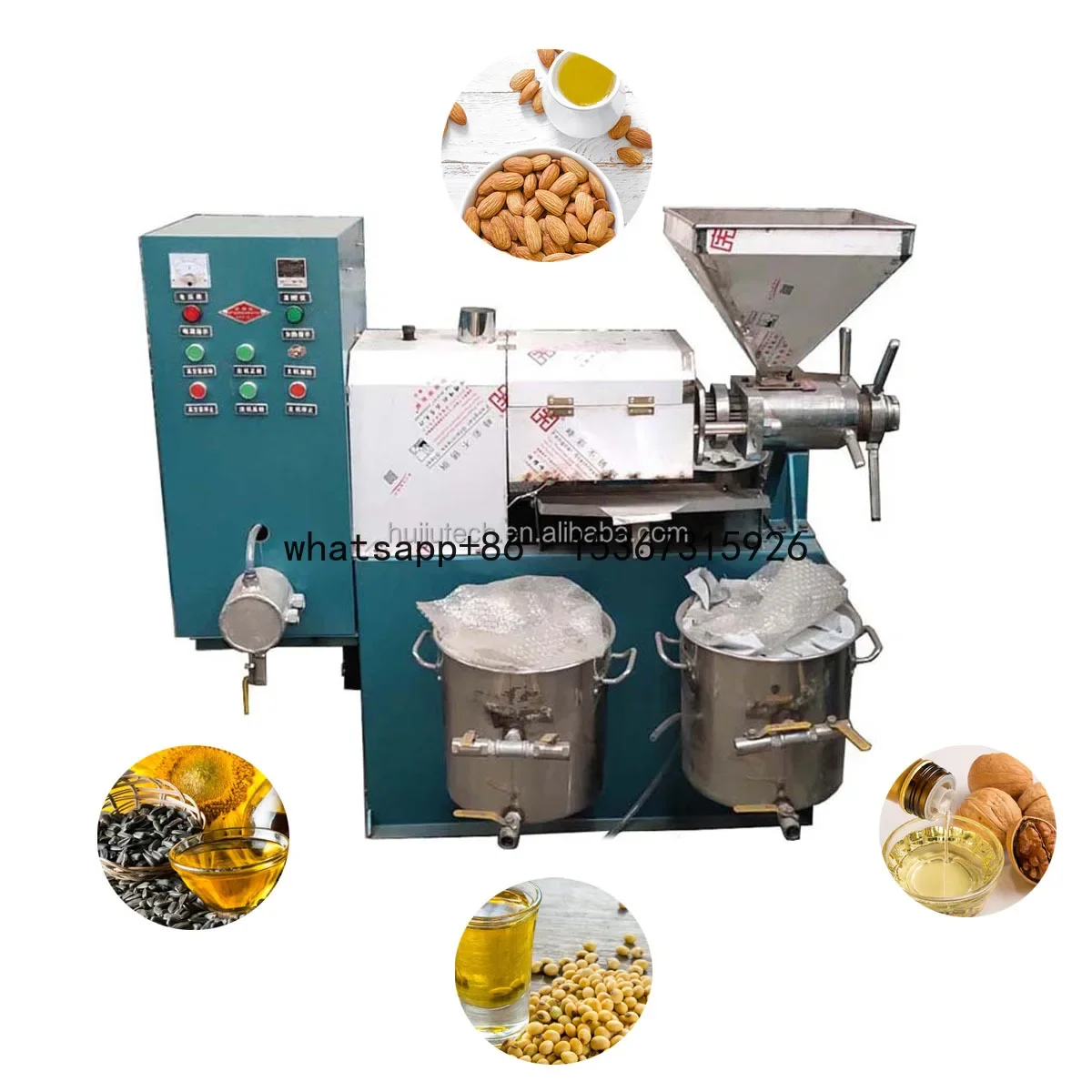 Professional oil press sunflower screw oil press macadamia nut pressing