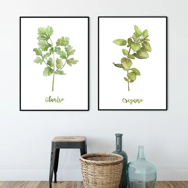 Piante di erbe ad acquerello poster e stampe botaniche verdi su tela pittura Wall Art Picture for coriandolo Kitchen Herbs Home Decor