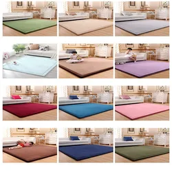 3CM Thicken Coral Fleece Velvet Carpets for Living Room Bedroom Area Rugs for Child Simple Japanese Play Crawl Tatami Floor Mat