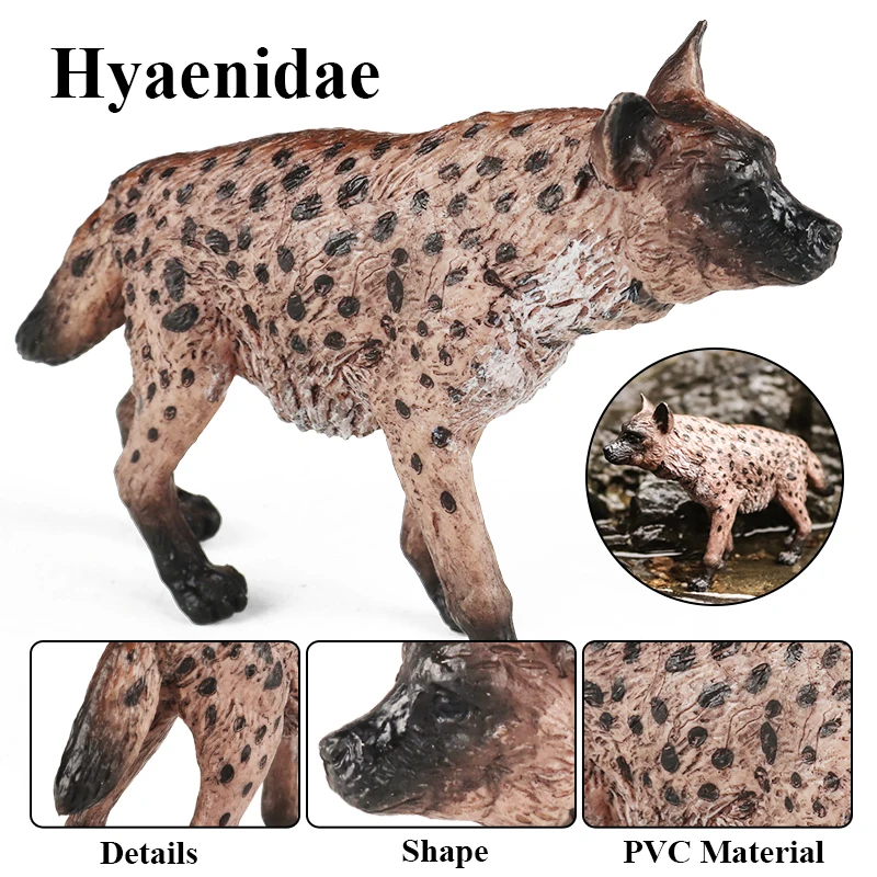 Oenux Klassische Wilde Afrikanische Tiere Simulation Tiger Hyaenidae Action Figur Figuren PVC Modell Bildung Schule Kind Spielzeug – Detail 5