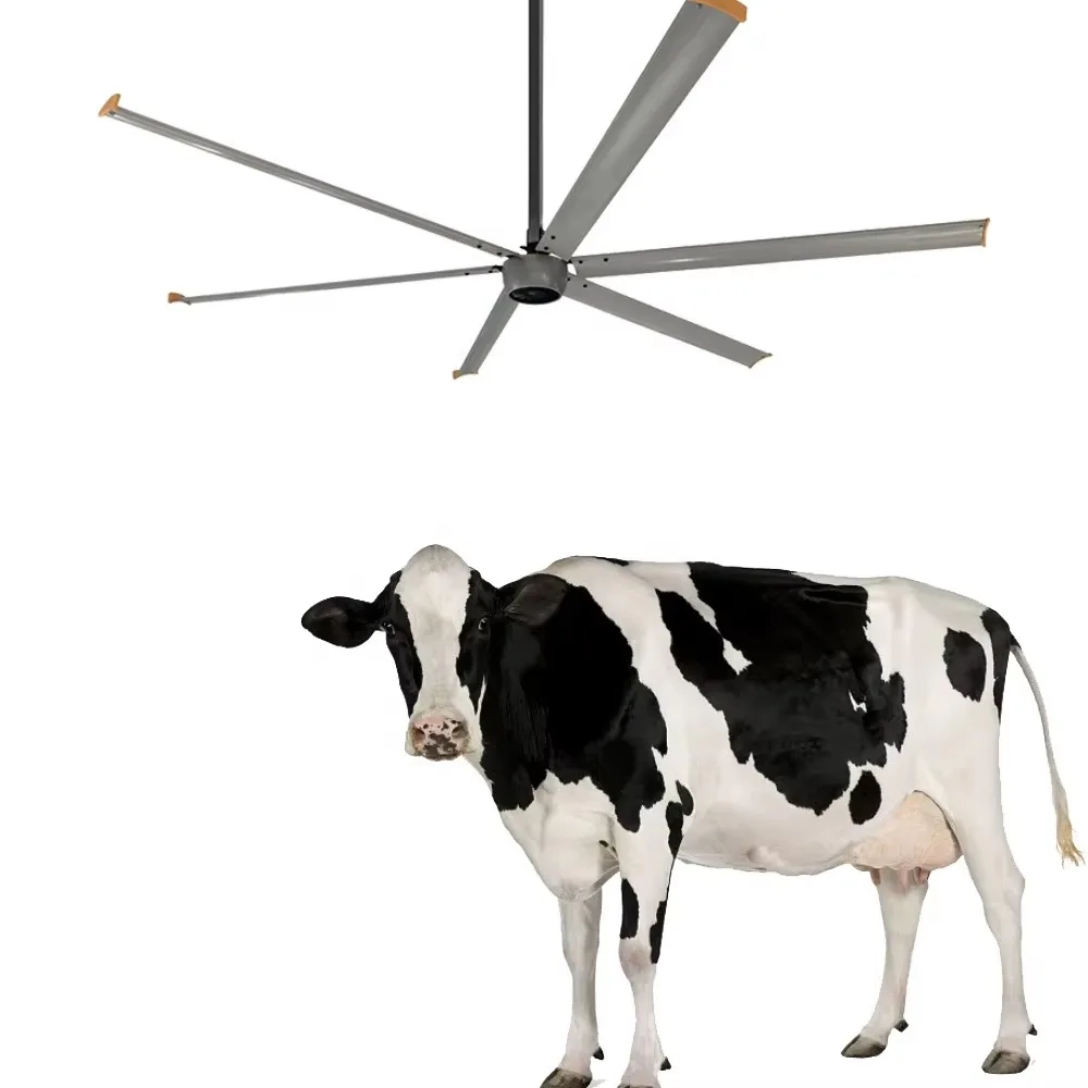 Amthi Cheap 6.2m 20ft Low Noise Cooling Industrial Roof Axial Fan Large Ceiling Fan Ball Bearing Electric Motor