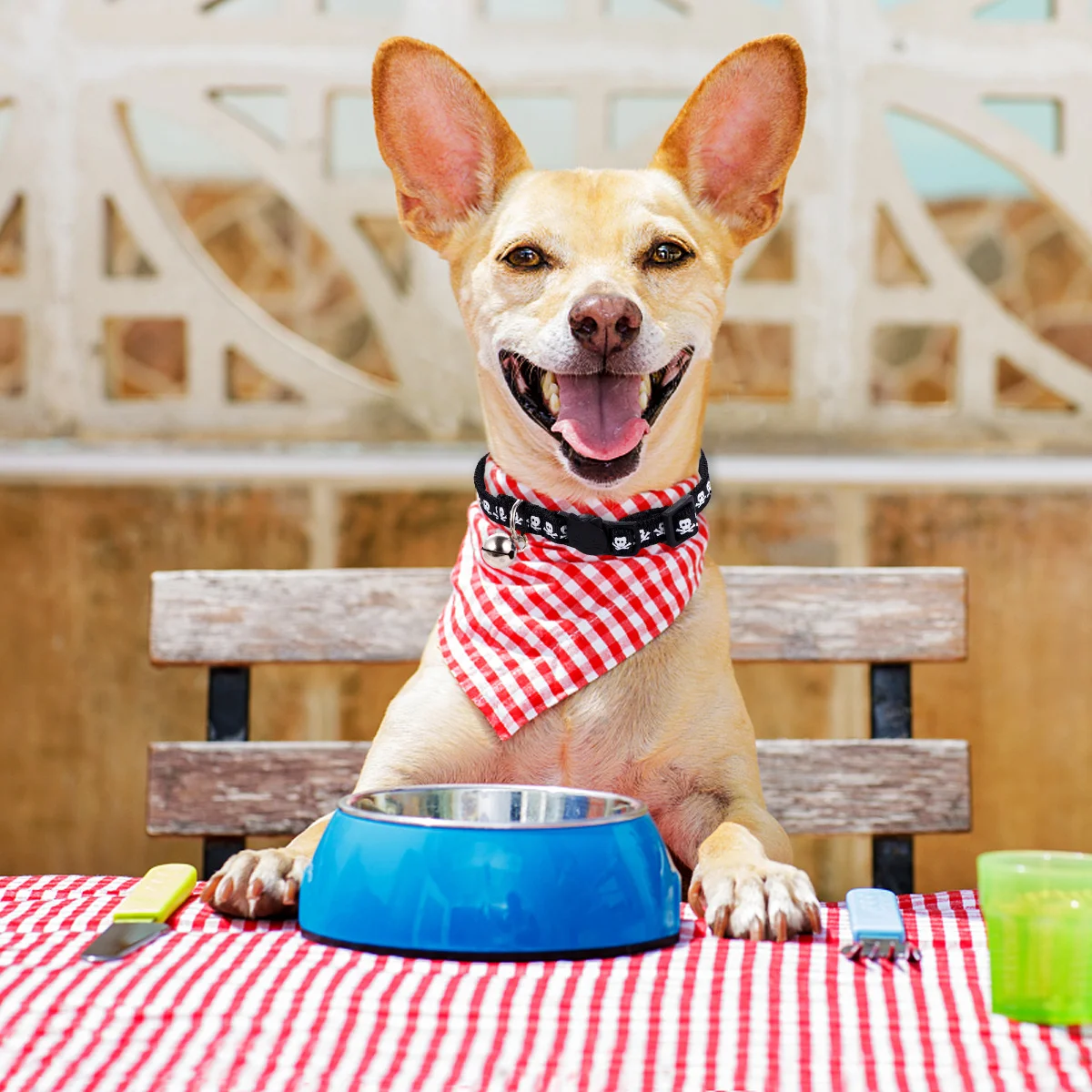 

Halloween Pet Costume Dog Skull Collars Lovely Accessory Stylish Decoration Creative