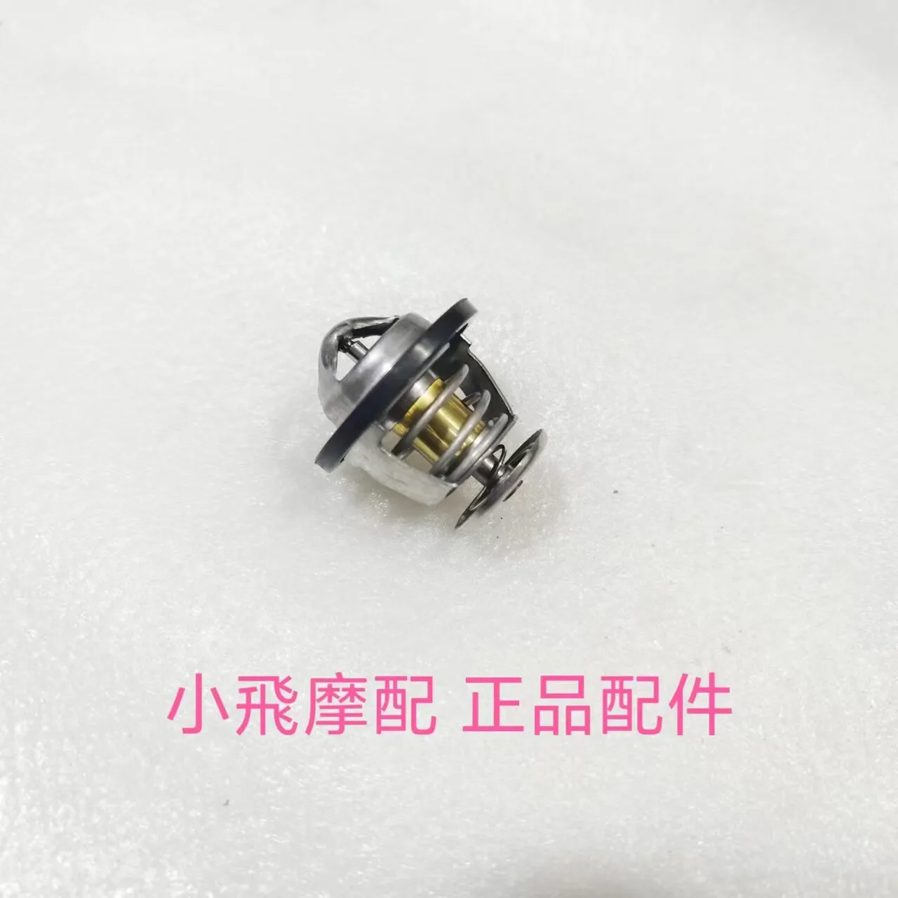 

Fit Qjmotor Flash 600 Accessories Qj Motor Thermostat Water Temperature Controller Regulator Assembly