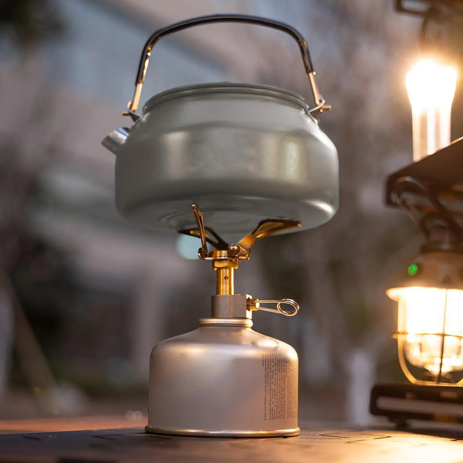 

Чайники 0,8 л, чайник из нержавеющей стали со складной ручкой, подогреватель, портативный дозатор бойлера для путешествий на столешнице