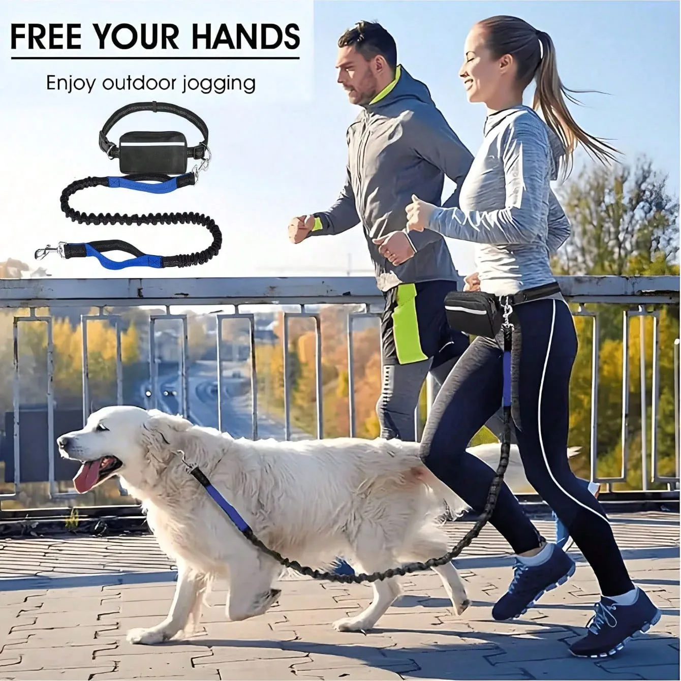 Hands Free Dog Leash with Pouch and Belt