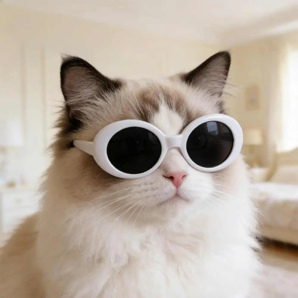 

3Pcs Retro Cat Glasses Lightweight Photo Prop Pet Sunglasses Stylish Pet Shades for Cats Small Dogs Versatile Pet Eyewear