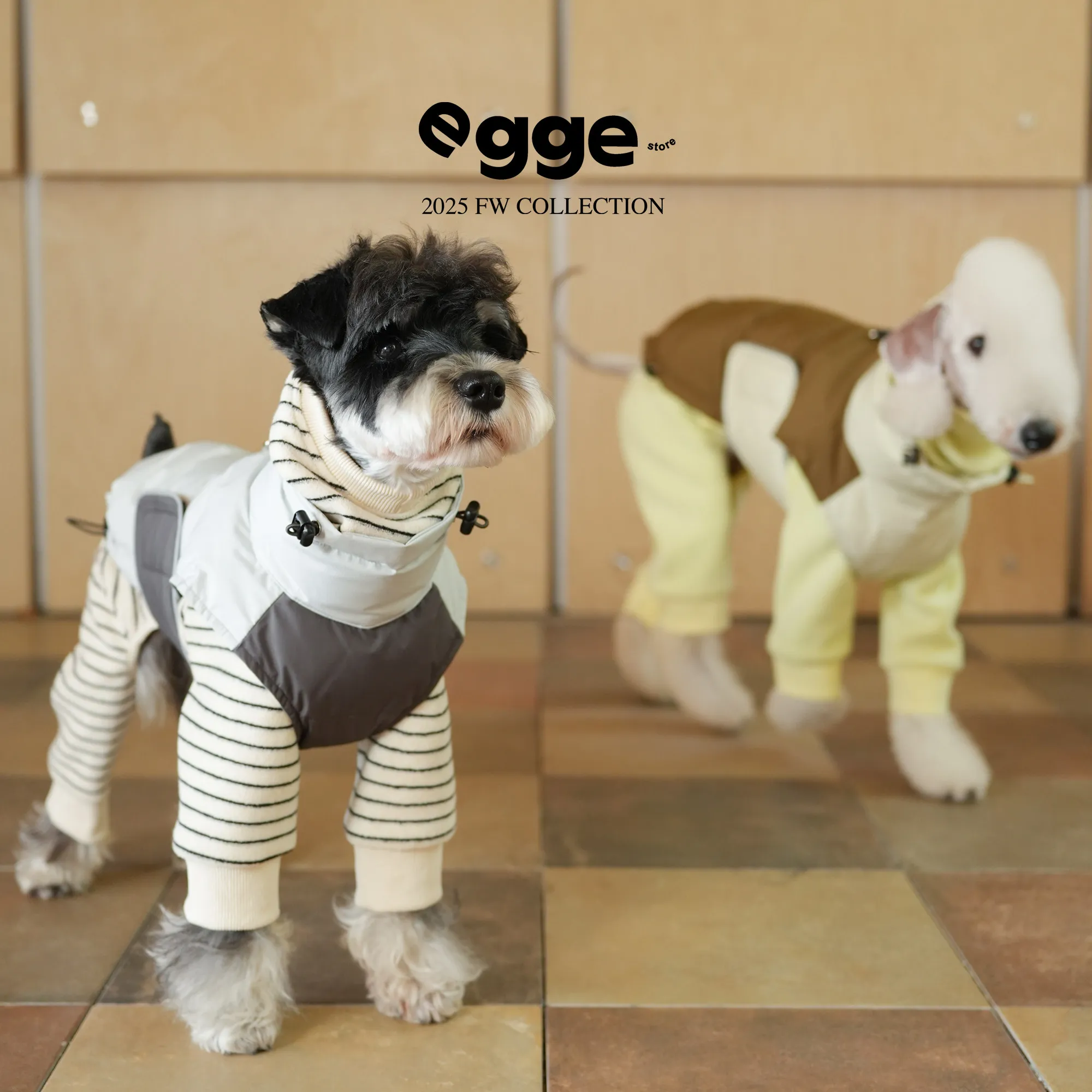 gilet-egge-quick-on-90-piumino-d'anatra-bianco-per-levriero-italiano-giallo-blu-caldo-e-alla-moda-cappotto-per-il-tempo-libero-per-belington-in-inverno