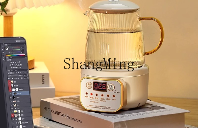 ZYY bollitore per tè multifunzionale per uso domestico per una persona