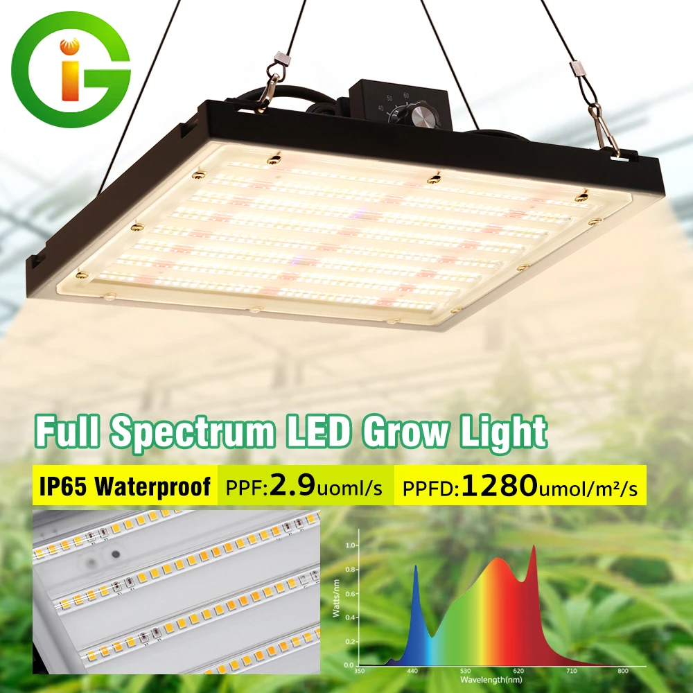 150W Full Spectrum LED Grow Lamp Aluminum Samsung Chip IP65 Waterproof Growing Light Stepless Dimmable  for Greenhouse Pant