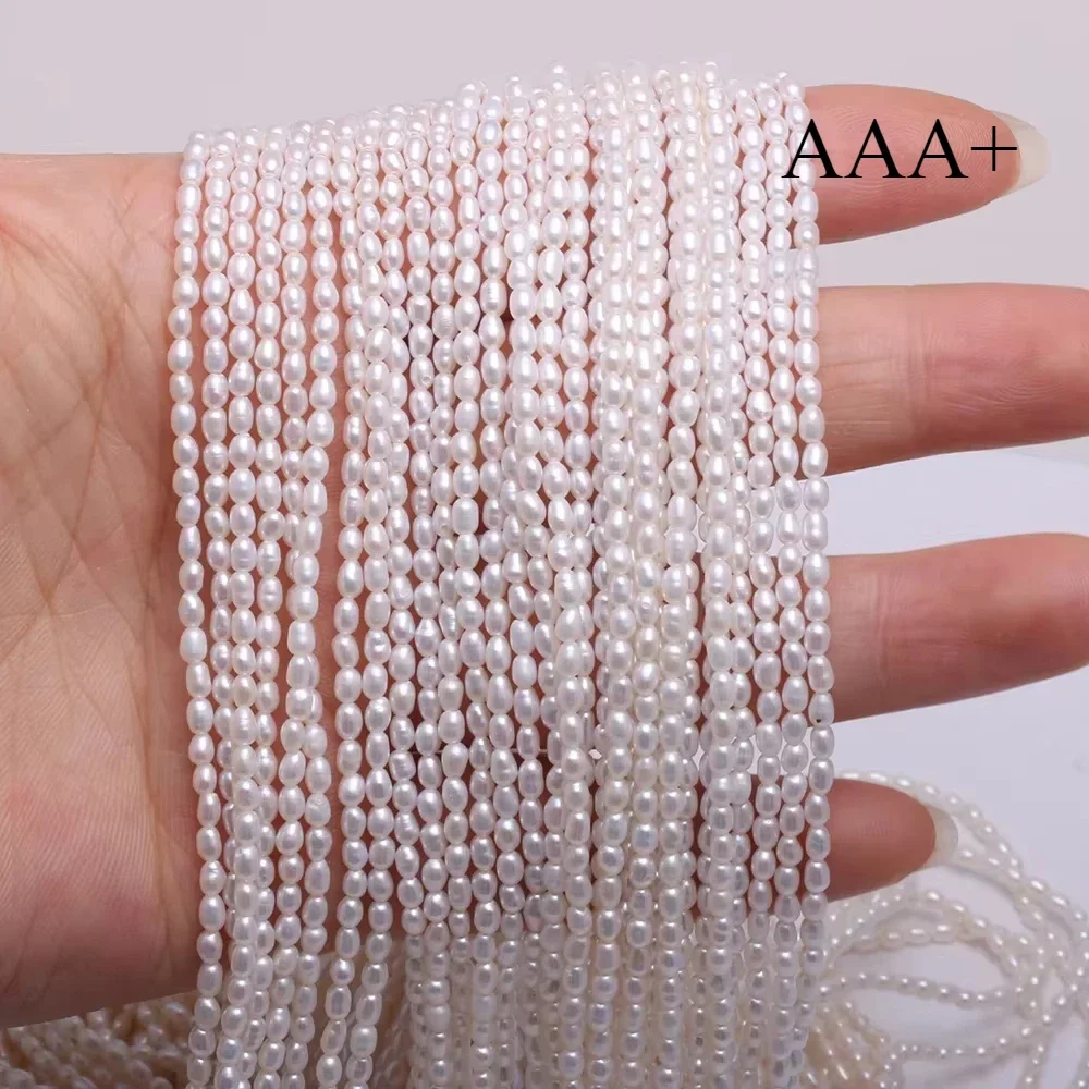 

2-5mm AAA Natural Freshwater Pearl Beaded High Quality Rice Shape Punch Loose for Make Jewelry DIY Bracelet Necklace Accessories