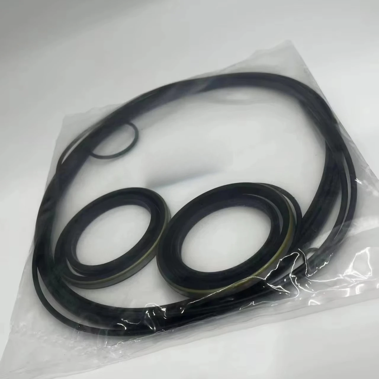 Cylinder Repair Kit Seal Ring CS1N250A-PS