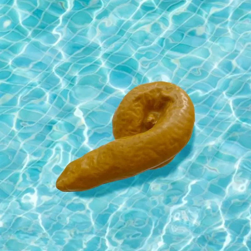 Floating Pool Thermometer Cartoon Poop-Shaped Water Temperature Thermometers Prank  for Outdoor Indoor Swimming Pools