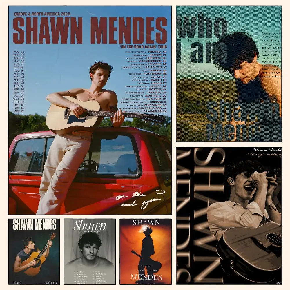 Singer S-Shawn mendes Poster Waterproof HD Modern Peel And Stick Wall Decor Living Room Dorm Garage
