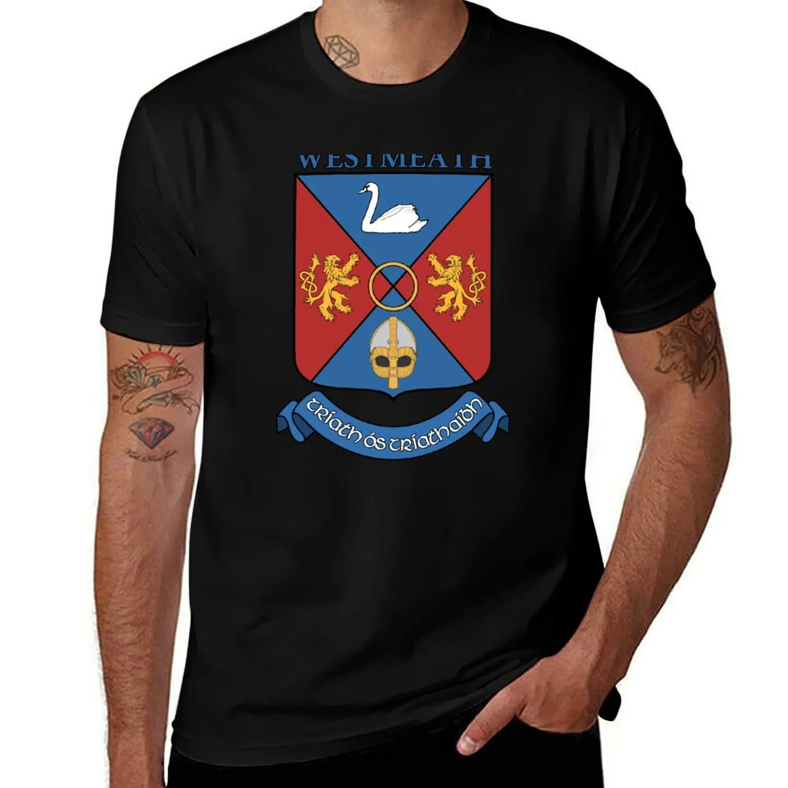 

Coat of Arms of County Westmeath, Ireland T-Shirt funny t shirts man T-Shirt