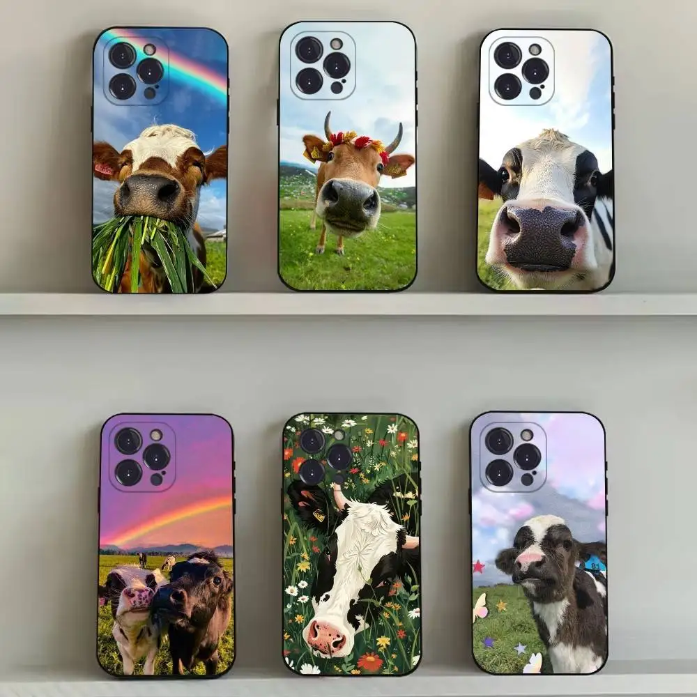 Lovely Cute Cow Cow… - image