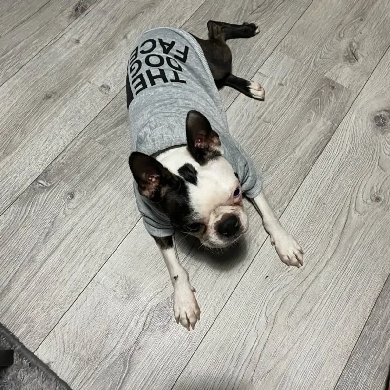 Dog Clothes Hoodies The Dog Face Wind Coat Warm for Small La