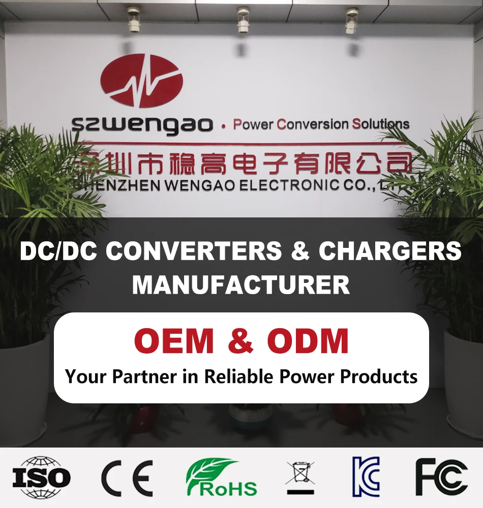 DC 8-36V to DC 12.6V 13.8V 14.5V 16.8V 10A Automatic Buck Booster Converter Car RV Smart Battery Charger for Dual Battery System