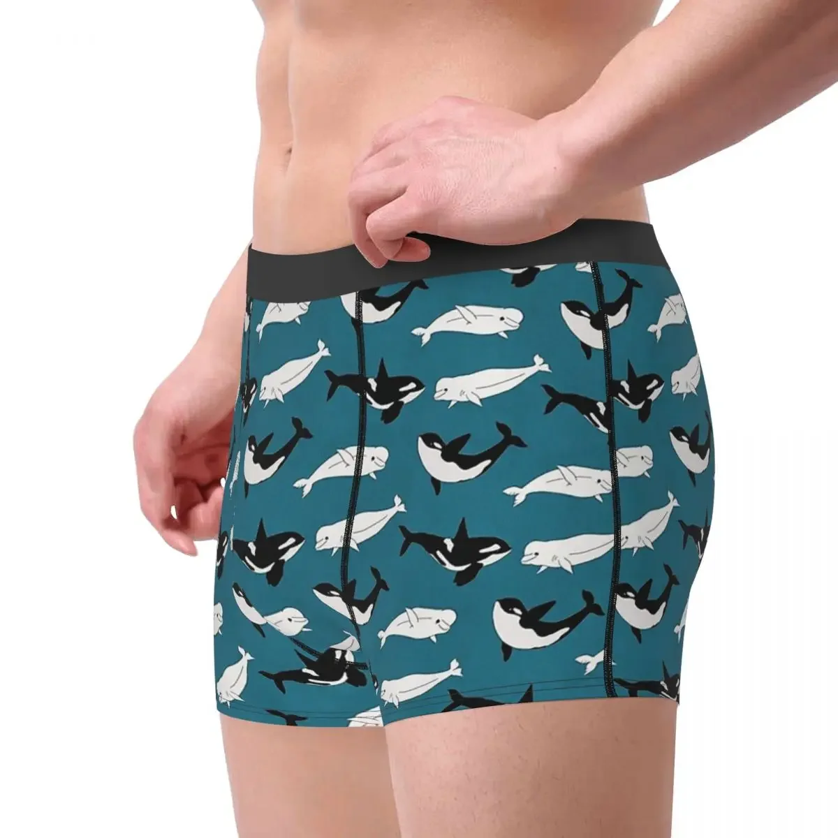 Orcinus Orca Whale Dolphin Belugas On Teal Underpants Homme Panties Male Underwear Comfortable Shorts Boxer Briefs