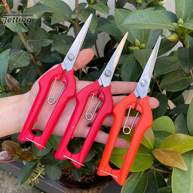 1Pcs Pruning Shear Branch Scissors Stainless Steel Non-Slip Handle Sharp Garden Fruit Tree Pruning Very Sharp Garden Tools
