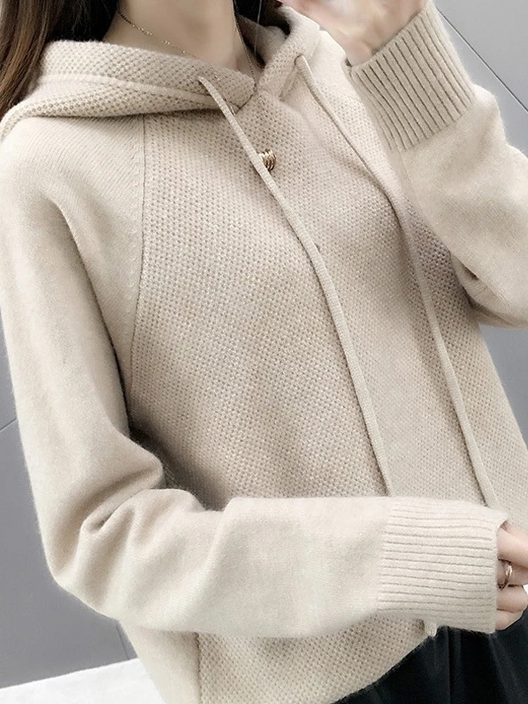 Hooded Sweater Women Autumn Sweater Sueter Mujer Invierno 2023 New Loose All Match Solid Tops Bottoming Knitwear Pull Femme