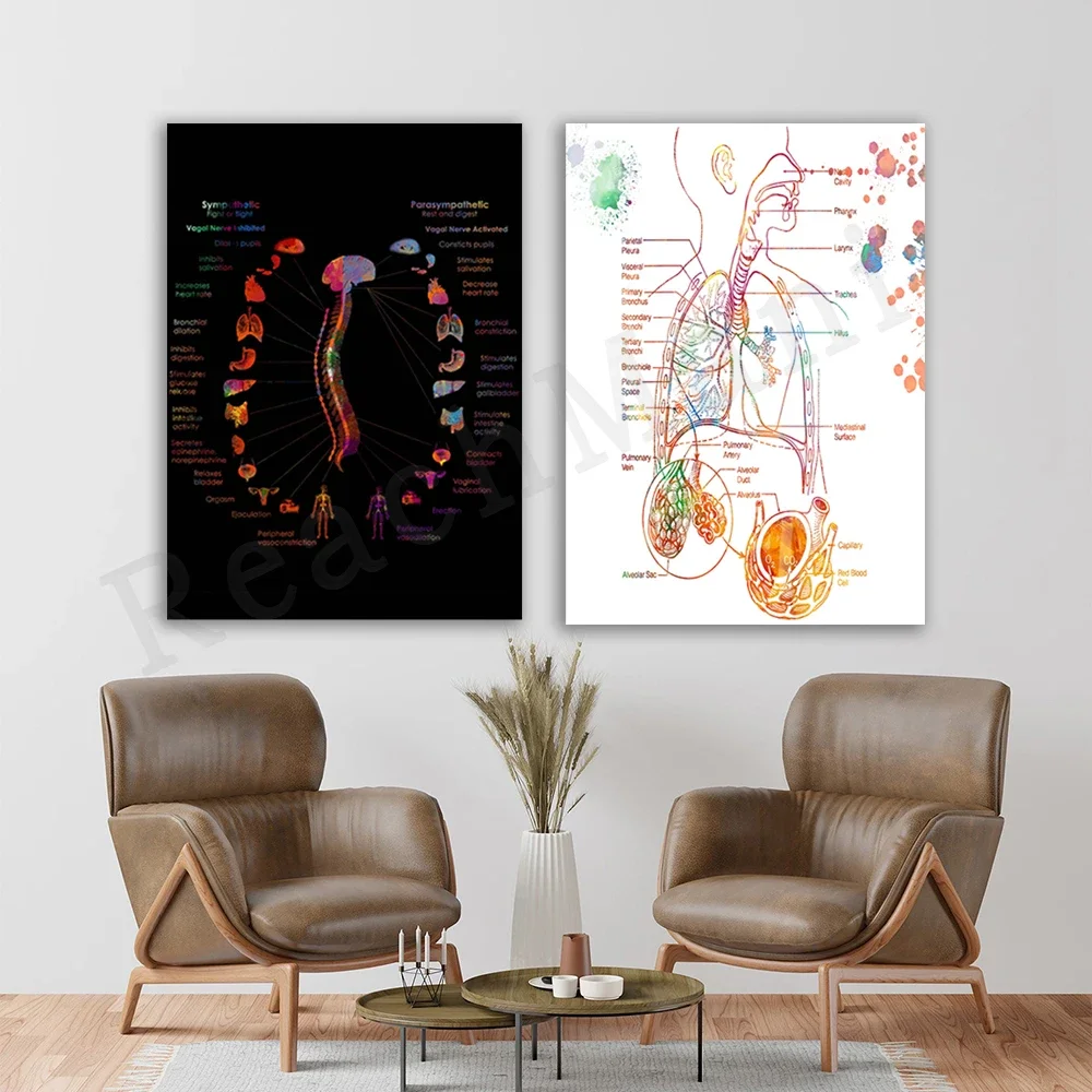 Human respiratory system, human anatomy autonomic nervous system watercolor medical student abstract art science anatomy poster