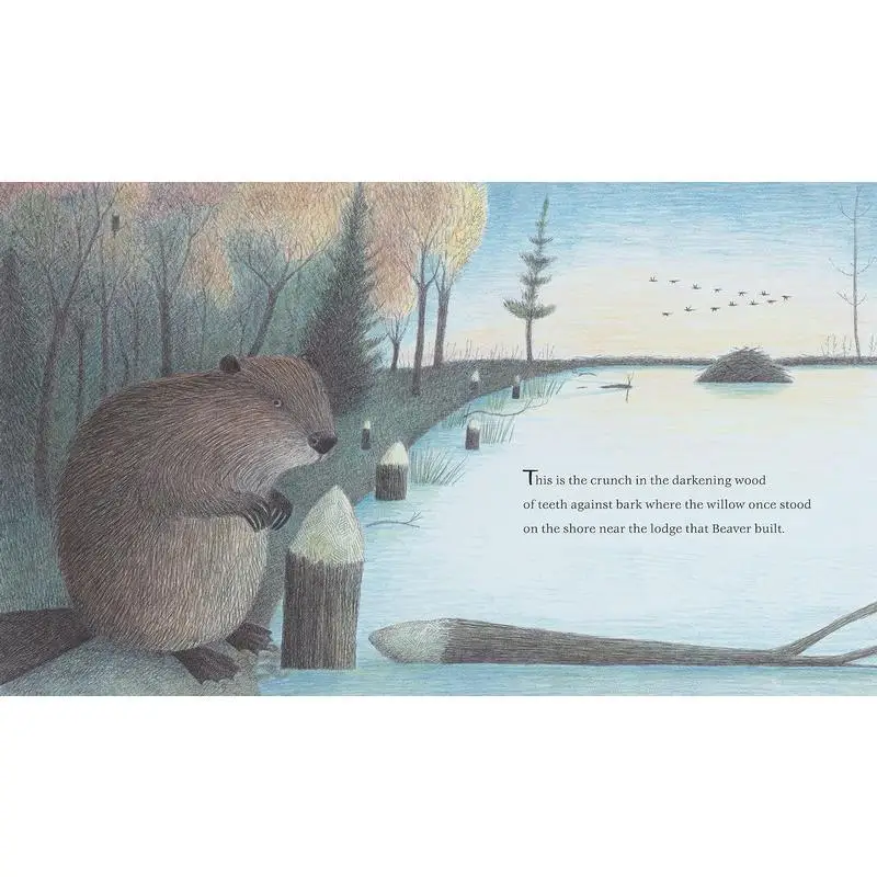 The Lodge That Beaver construido Randi Sonenshine Candlewick Press 9781536218688 Libro