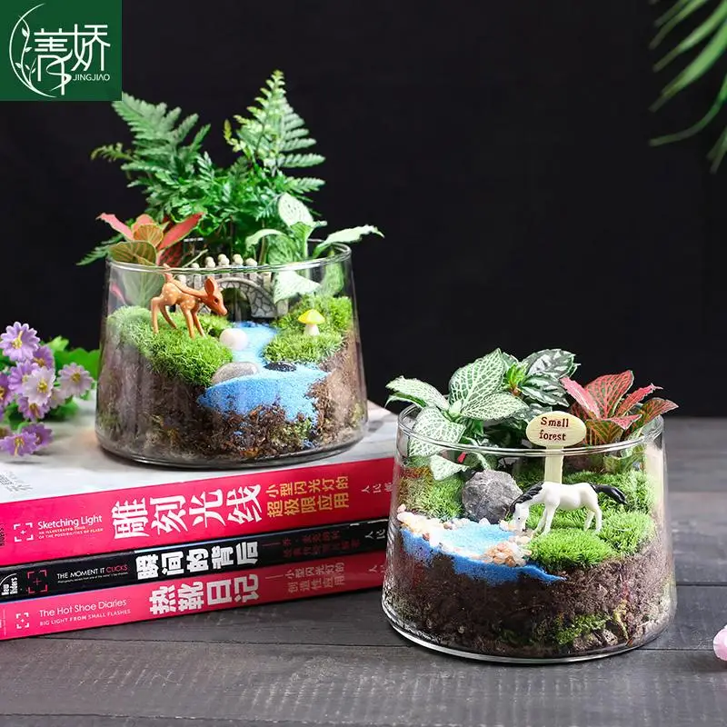 

Jingjiao, Conical Bottle Creative Fresh Moss Micro-landscape DIY Material, Tabletop Ecological Moss Ornament Bonsai