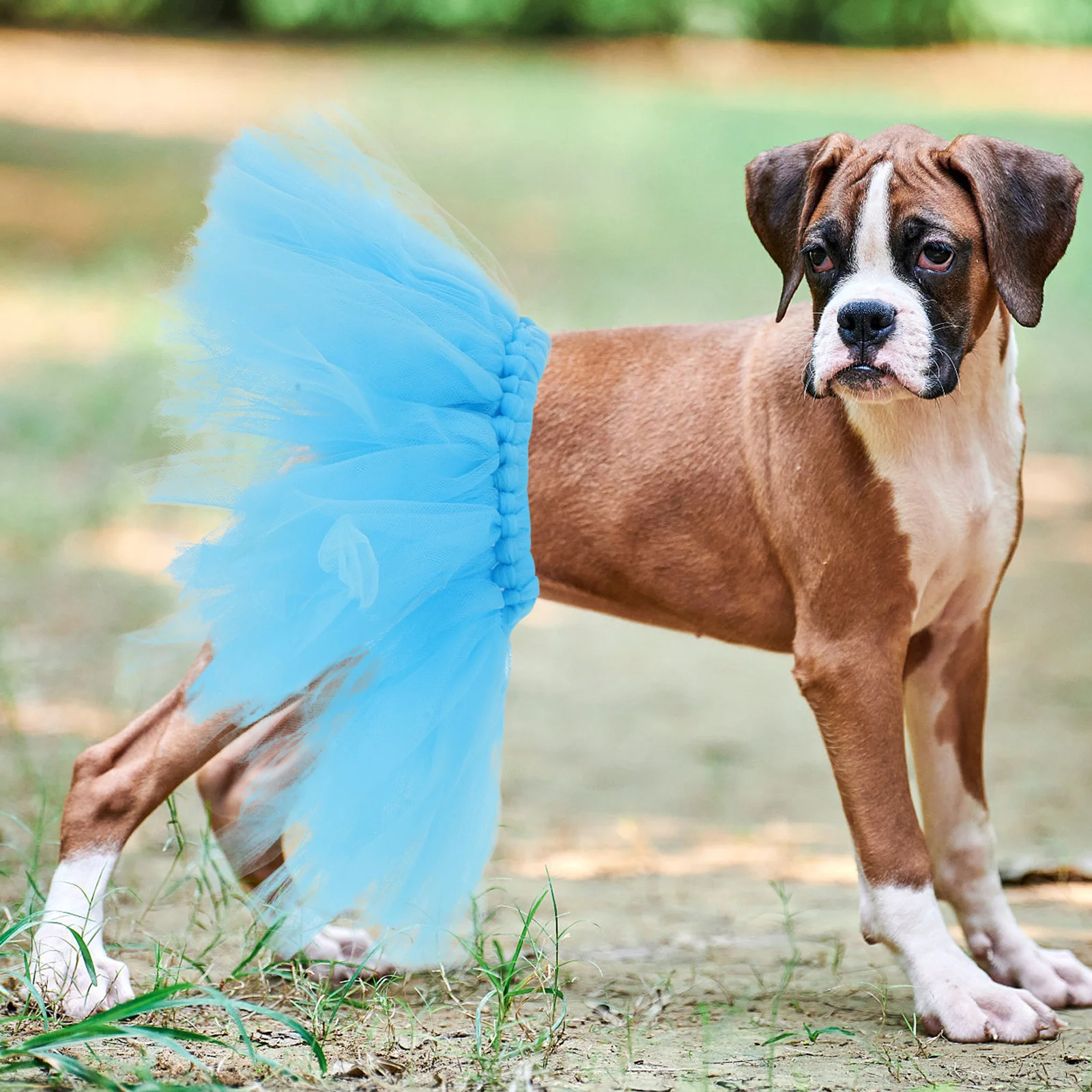 

2Pcs Pet Tulle Tutu Skirt Stylish Cosplay Look Soft Nonirritating Material for Parties Holidays and Photoshoots