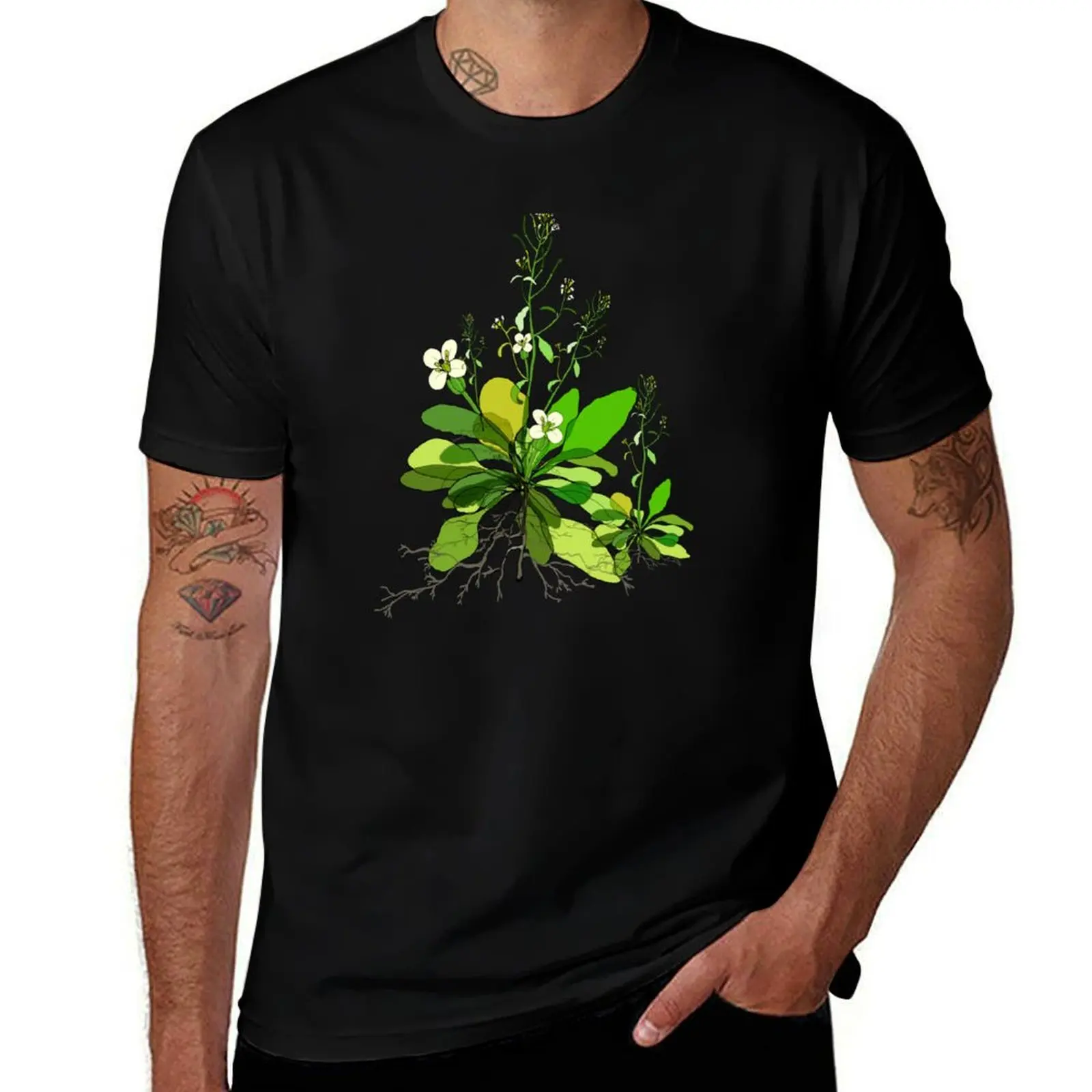 Футболка Arabidopsis, мужские футболки большого размера, дешевые вещи, бутик одежды на день Святого Валентина, мужские рубашки в стиле аниме