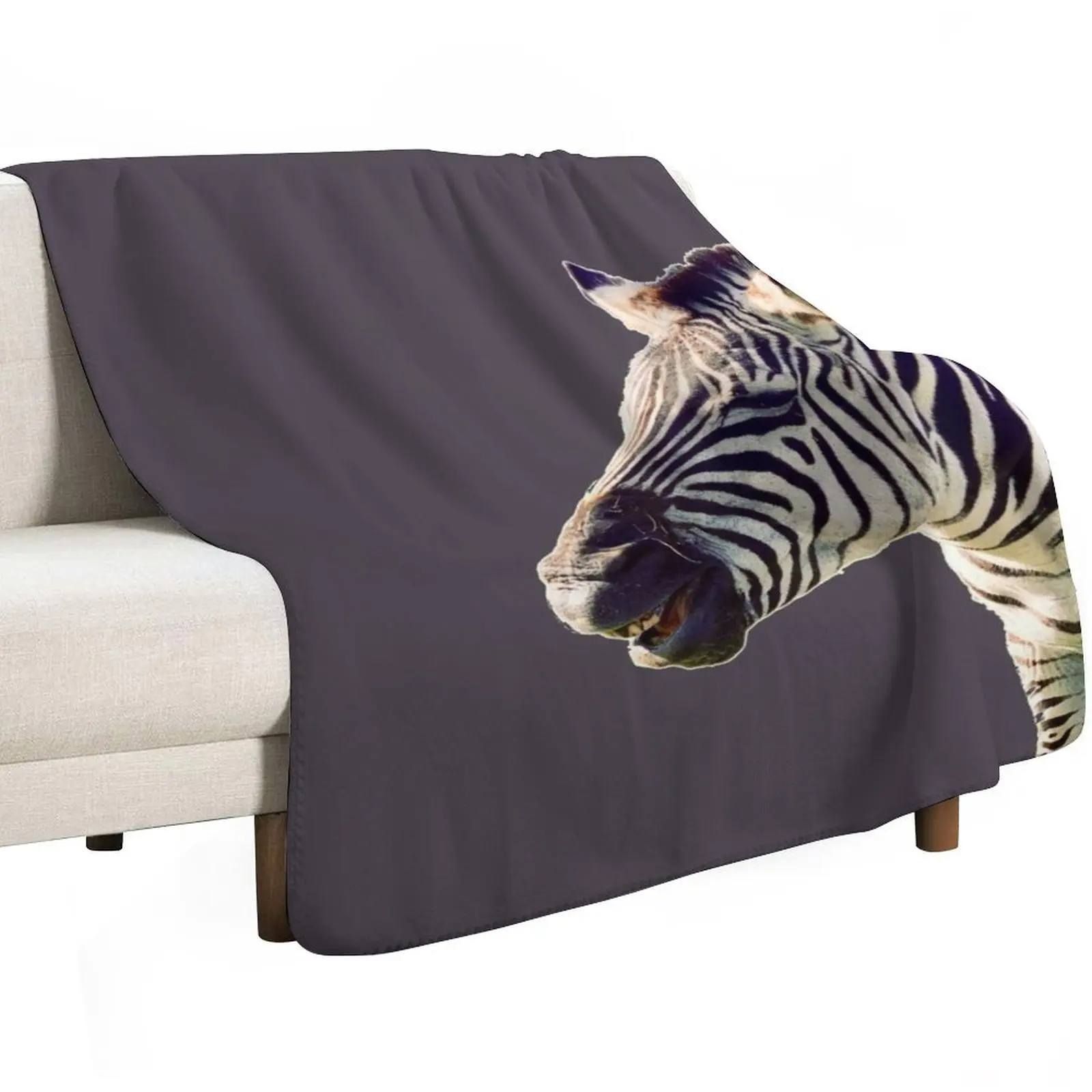 This zebra is having a real laugh Throw Blanket decorative Warm Stuffeds Soft Plush Plaid Custom Sofas Blankets