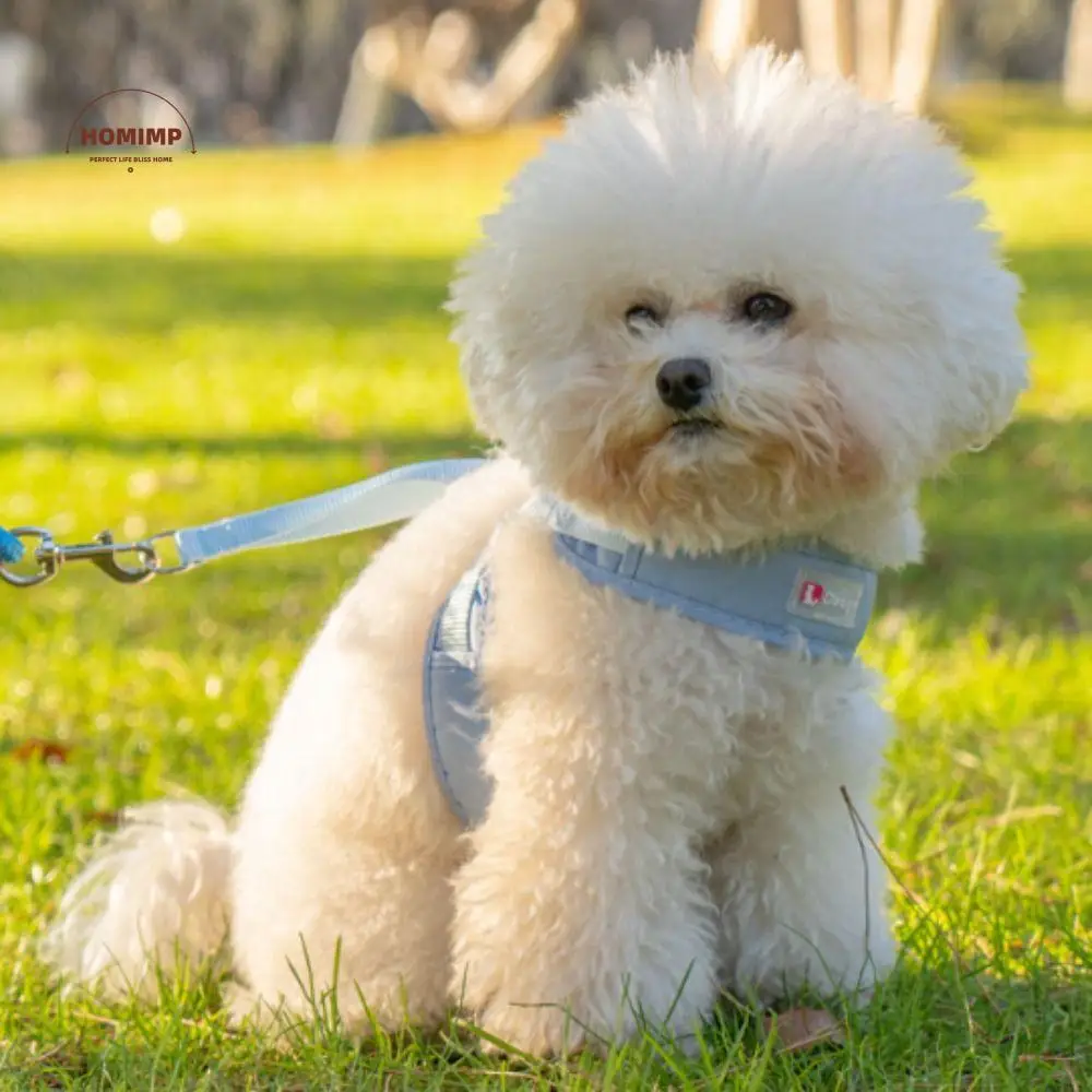 

Practical Adjustable Dog Harness Vest Breathable Prevent Breaking Free Dog Leash Comfortable Dog Walking Rope for Puppy Dogs