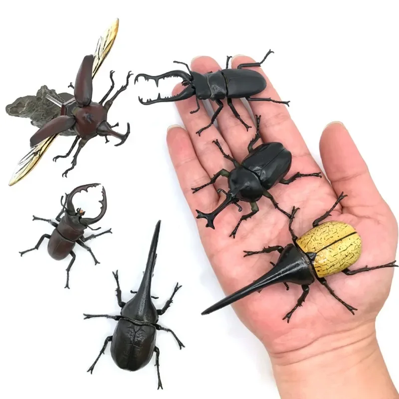 

Japanese Genuine Gacha Scale Model Simulation Insect Map of The Mini Beetle Unicorn Action Figure Toys
