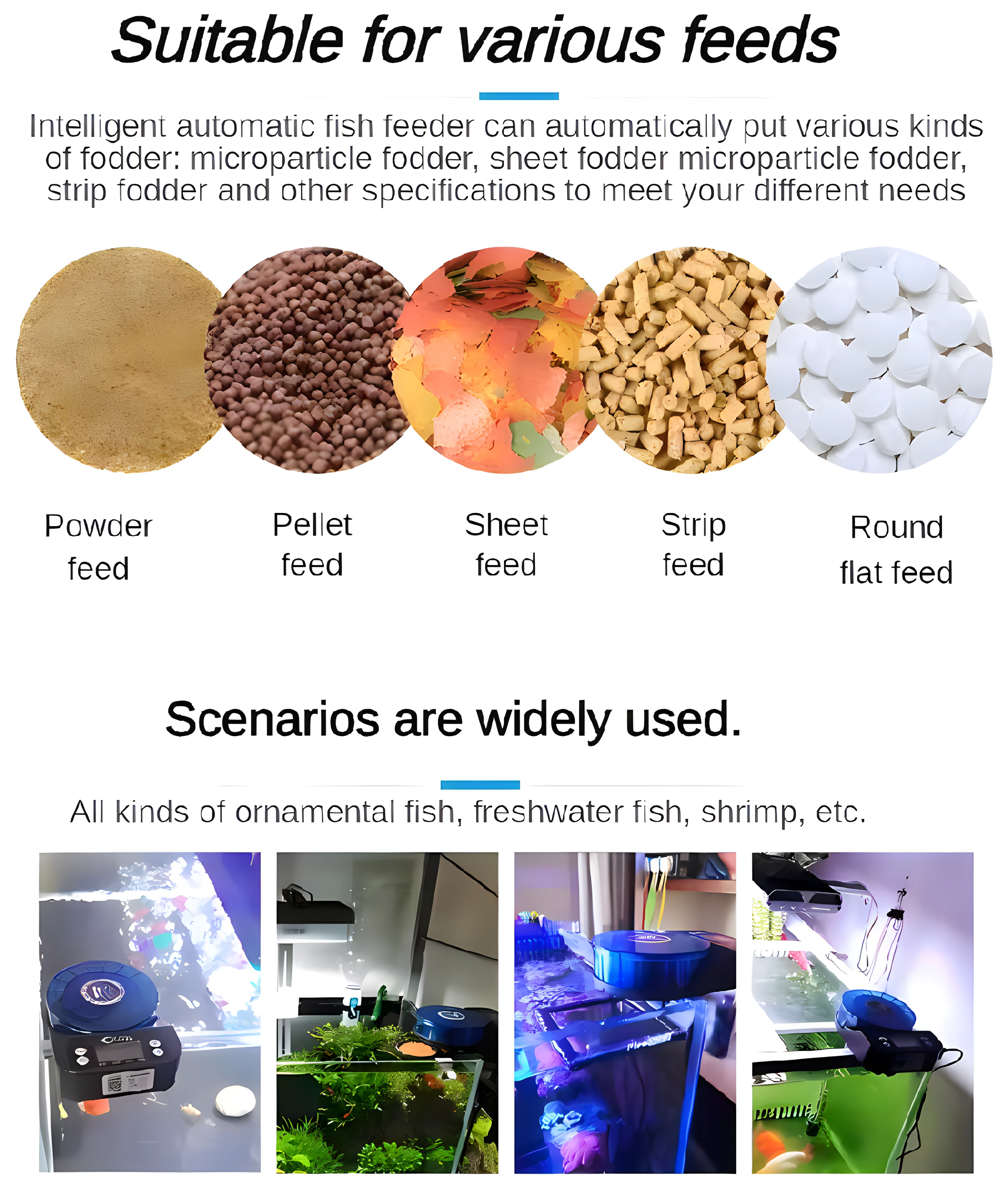 Fish feeder automatic feeder fish timing and quantitative feeder small ornamental shrimp goldfish powder small particle feeding