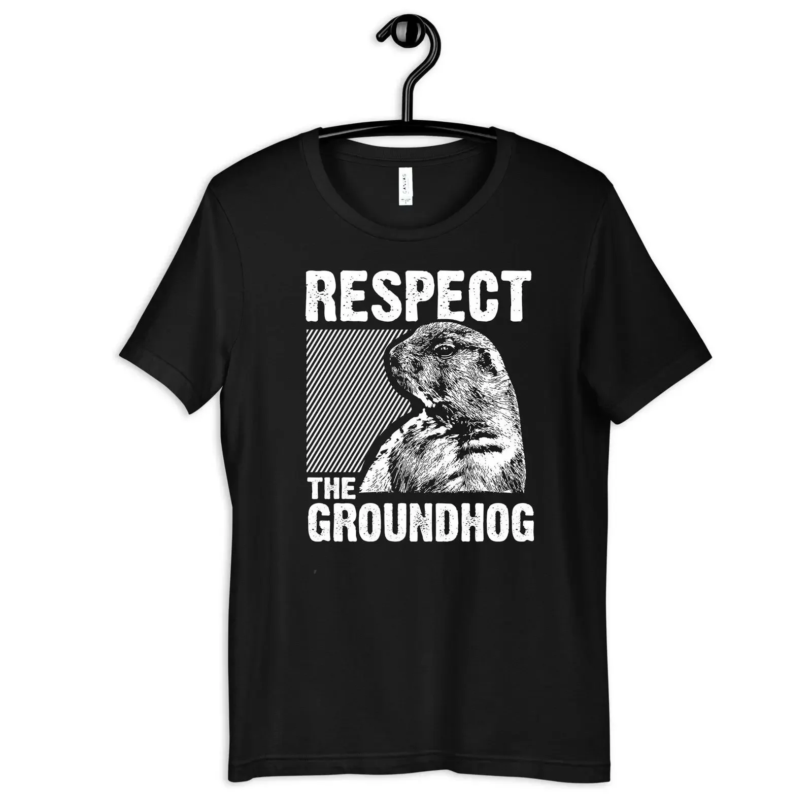Respect the Groundhog T Shirt Women's Kids Long Sleeve SweaT vintage Washed Slightly fashion Casual Unisex Stylish streetwear